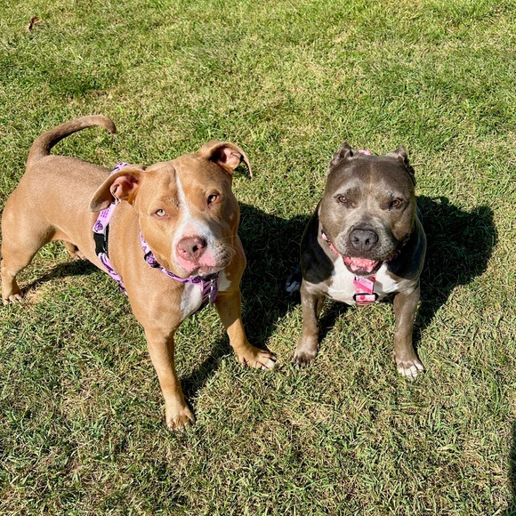 Meet me! ๐๐ผ๐ - Picture 9 of 16